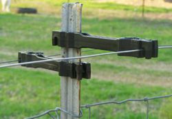 Electric fence insulator on t-Post